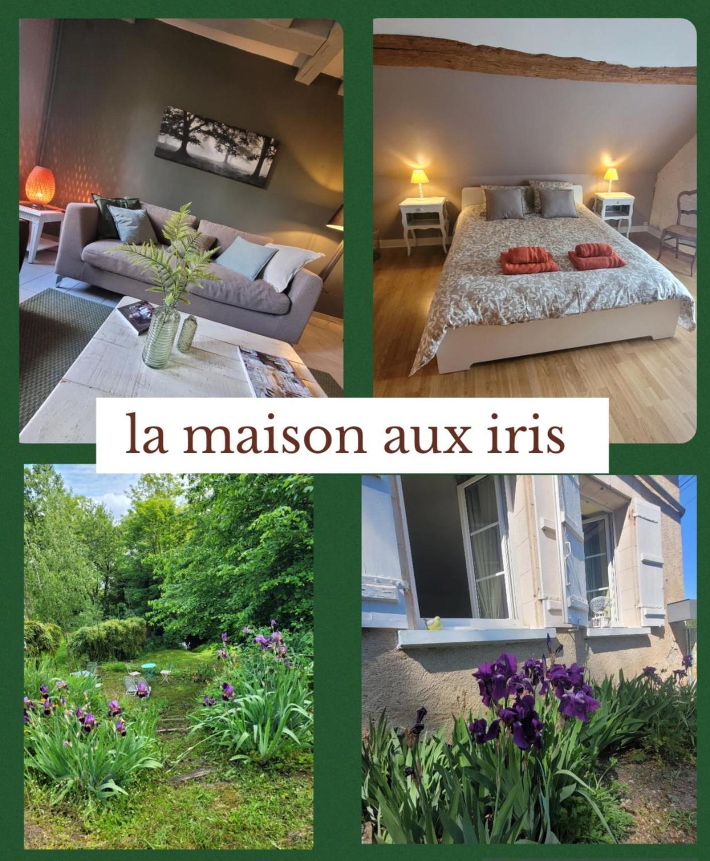 Pocé-sur-Cisse La Maison Aux Iris מראה חיצוני תמונה