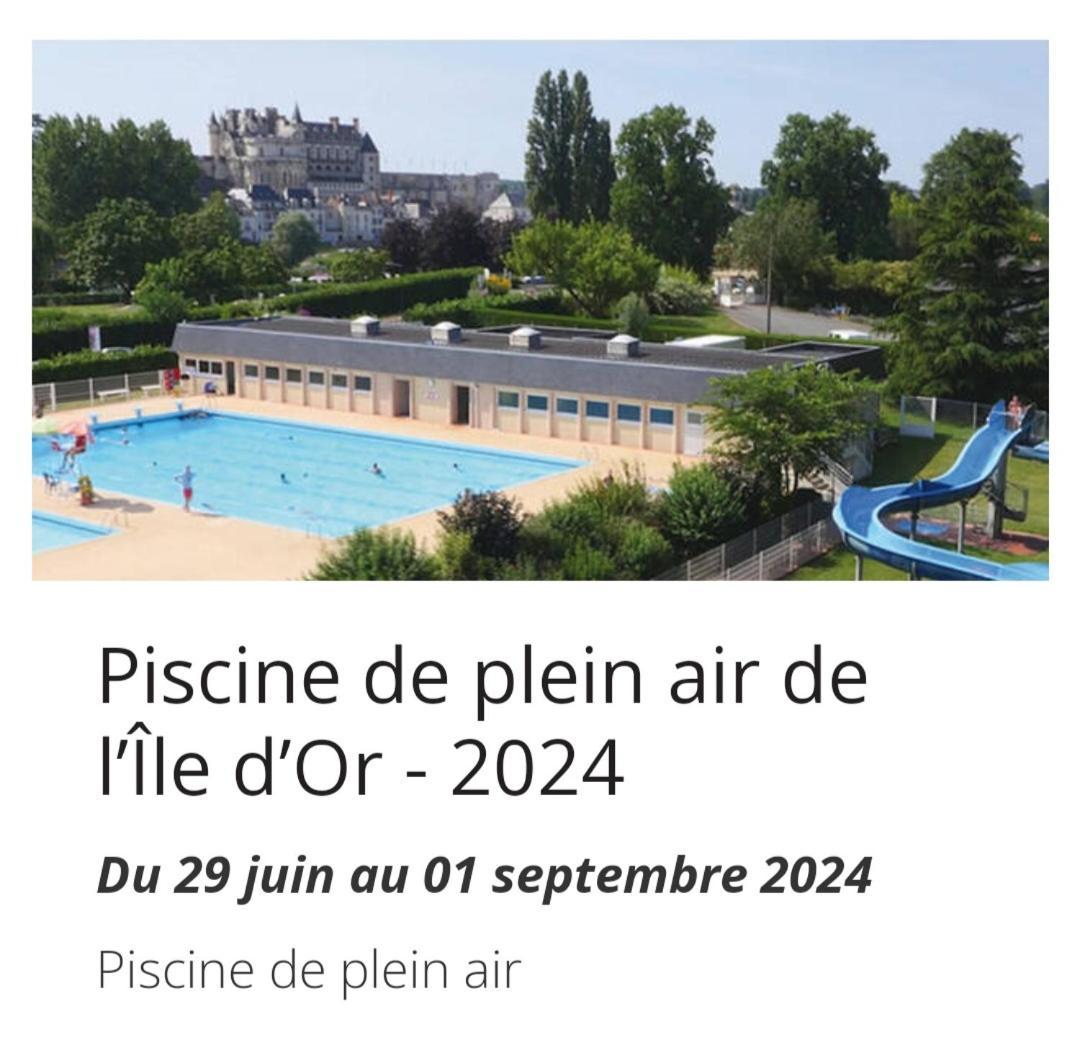 Pocé-sur-Cisse La Maison Aux Iris מראה חיצוני תמונה