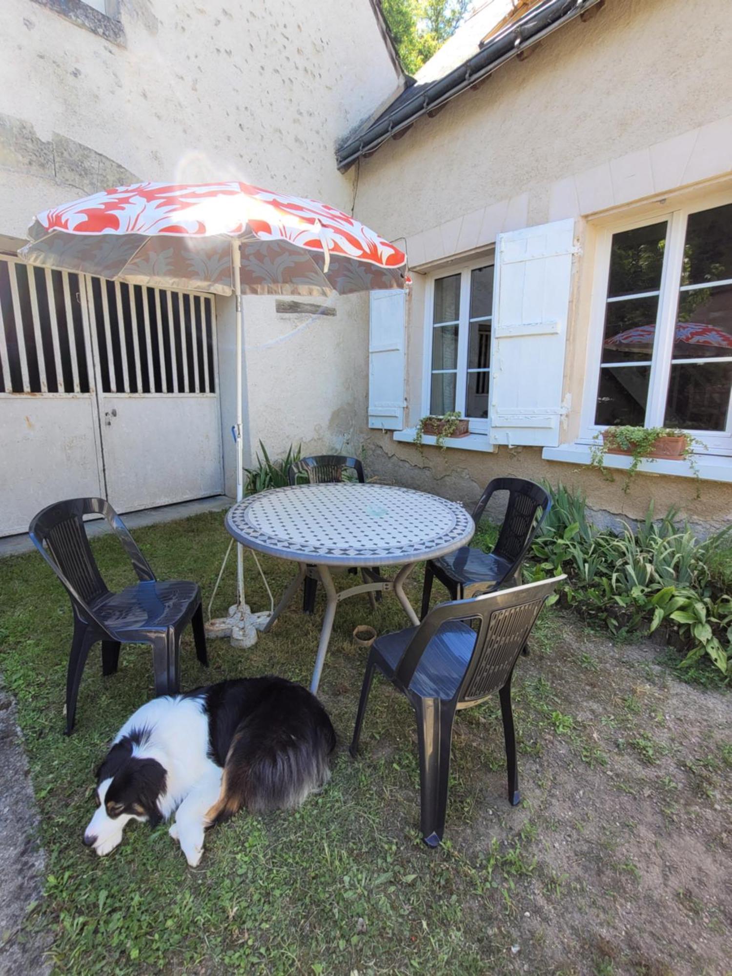Pocé-sur-Cisse La Maison Aux Iris מראה חיצוני תמונה